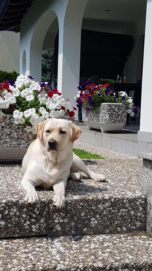 Apartmán Casa Manuela Tra Bellinzona Locarno E Lugano Cadenazzo Exteriér fotografie